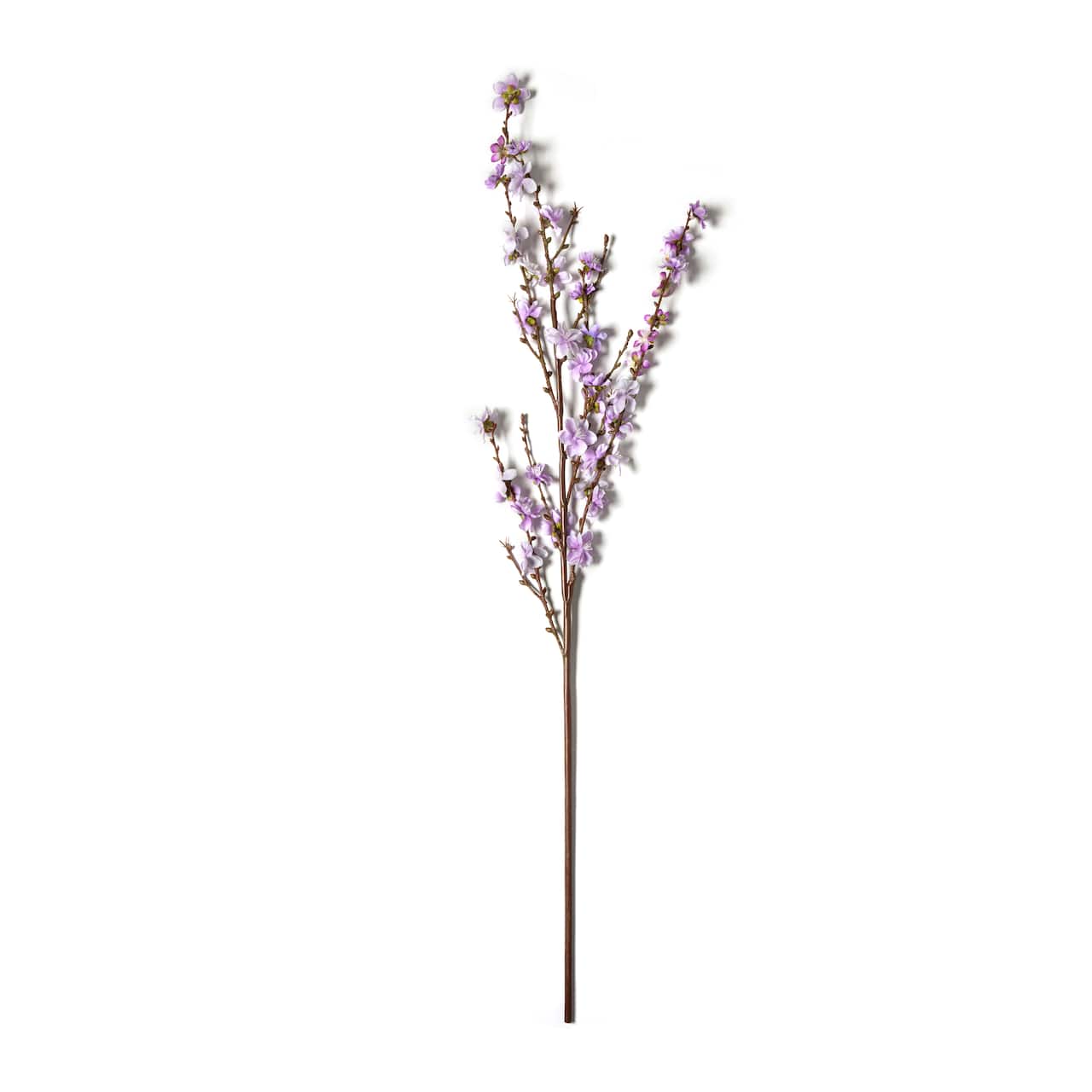 Peach Blossom Stem by Ashland®